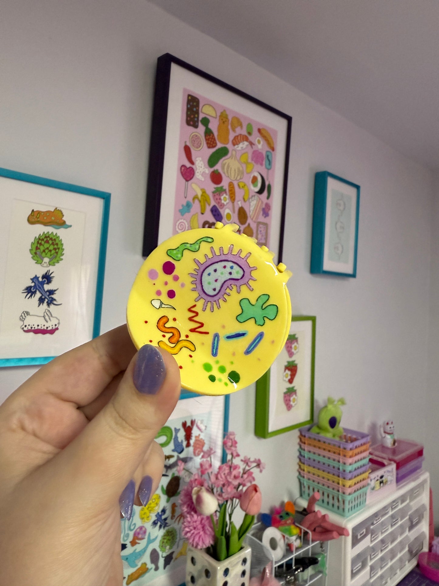 Petri Dish, Claw Clip (B GRADE)
