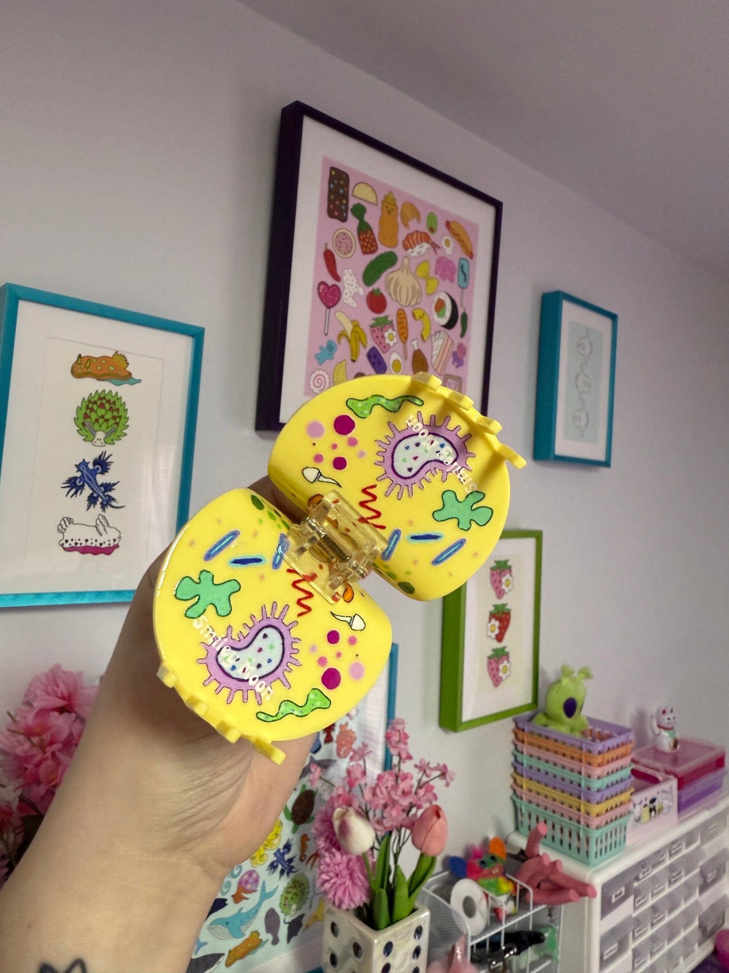 Petri Dish, Claw Clip (B GRADE)