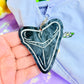 Shark Tooth Fossil Bag Charm